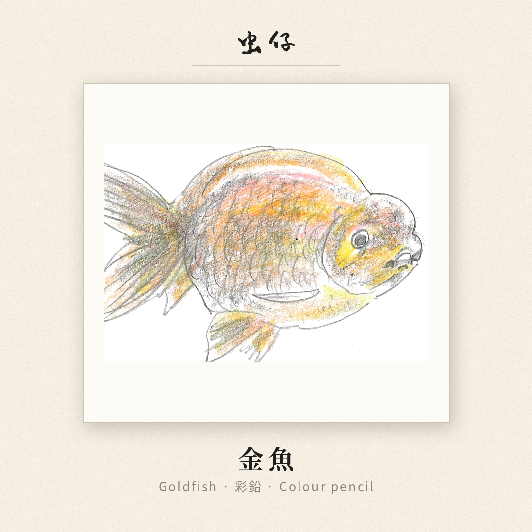 Goldfish artwork