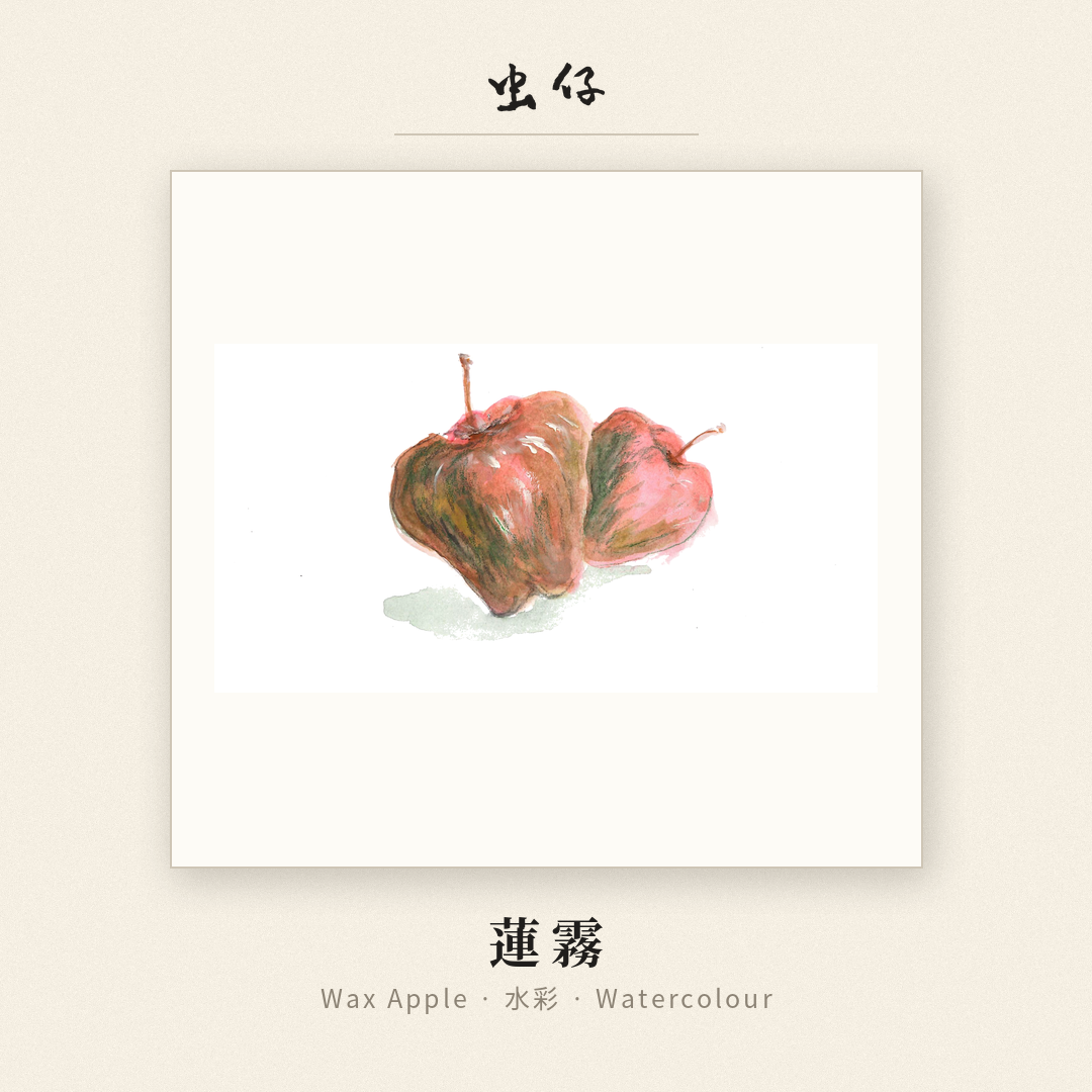 Wax apple watercolour painting