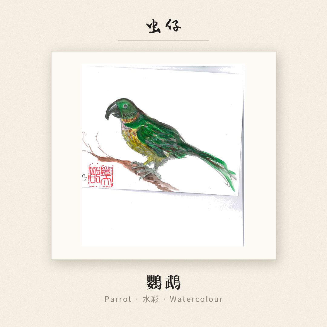 Colourful parrot illustration
